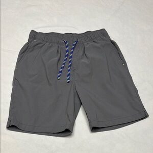 J crew Gray Shorts with Blue Accents